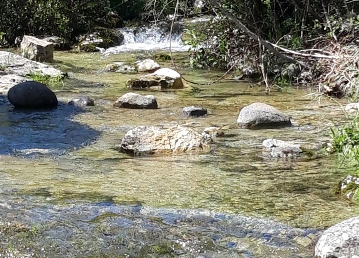Le Cocon Villa Lussas